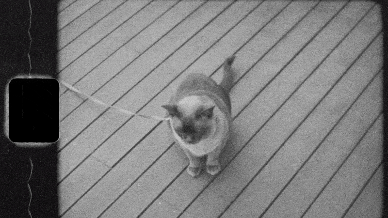 yelzkizi What Is Film Grain? Understanding Its Role in Cinematic Aesthetics