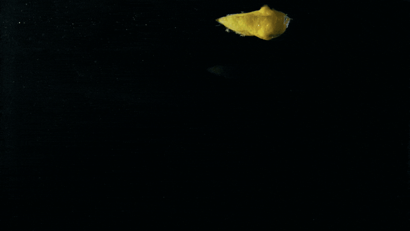 yelzkizi Mastering Water Simulation in Unreal Engine: Techniques, Tools, and Best Practices