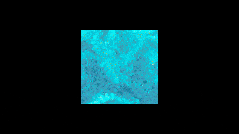 yelzkizi Minecraft Movie Cast, Review, Fan Insights, and Box Office Performance: Full Breakdown After Release