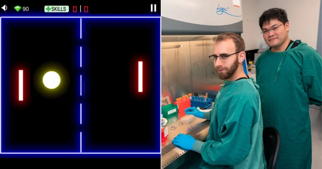 Yelzkizi Scientists Make Breakthrough That Allows Lab-Grown Brain Cells To Play A Sort Of Video Game (UC Santa Cruz Cart-Pole Results Explained)