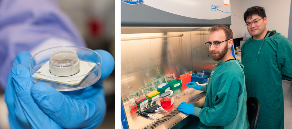 Yelzkizi Scientists Make Breakthrough That Allows Lab-Grown Brain Cells To Play A Sort Of Video Game (UC Santa Cruz Cart-Pole Results Explained)