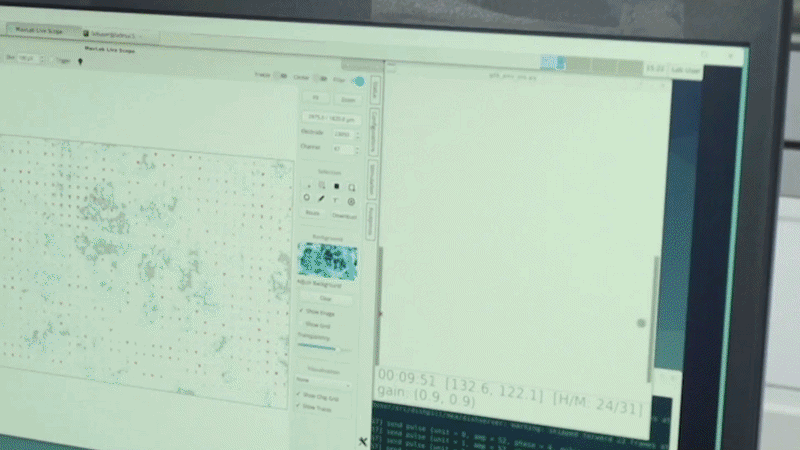 Yelzkizi Scientists Make Breakthrough That Allows Lab-Grown Brain Cells To Play A Sort Of Video Game (UC Santa Cruz Cart-Pole Results Explained)