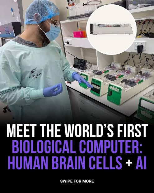 yelzkizi Scientists Make Breakthrough That Allows Lab-Grown Brain Cells To Play A Sort Of Video Game (UC Santa Cruz Cart-Pole Results Explained)