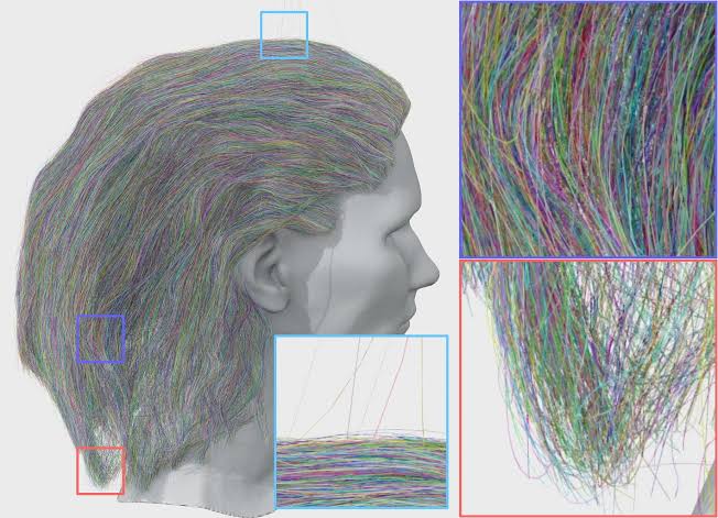 Yelzkizi hair20k vs pixelhair: comparing high-fidelity 3d hair datasets for machine learning, simulation, and production use