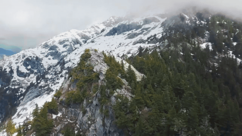 yelzkizi Dungeons & Dragons Left Impressed After Astronaut Shows How to Roll a D20 in Zero-G, Proving Roleplaying in Space Is Absolutely Possible