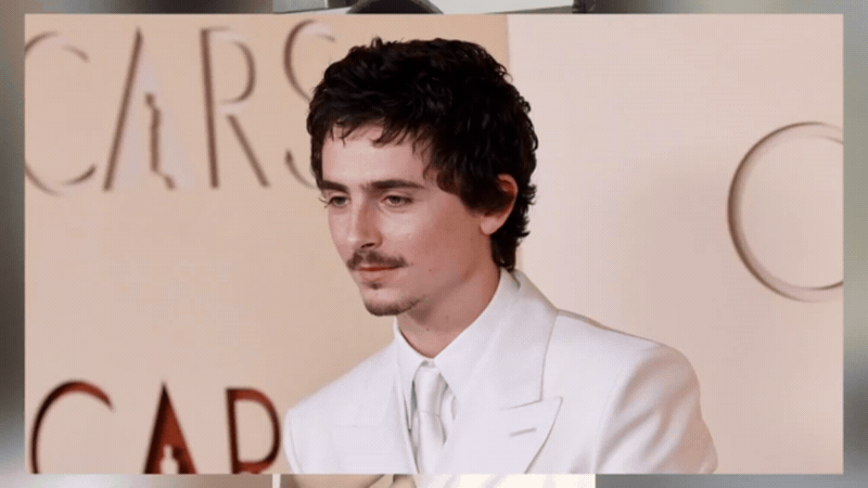 yelzkizi Timothée Chalamet Boosted Royal Ballet and Opera Ticket Sales: What Happened and Why It Worked