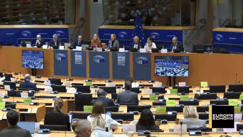 yelzkizi Should Video Game Publishers Be Allowed to Disable Games You Bought? What the European Parliament Hearing on “Stop Destroying Videogames” Means
