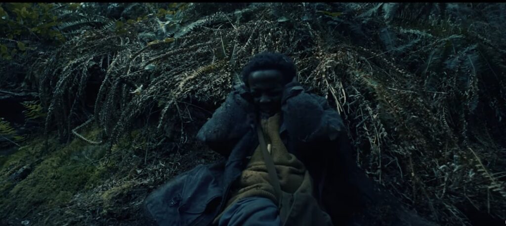 Yelzkizi 99 nights in the forest film confirmed: everything we know about the 20th century studios movie