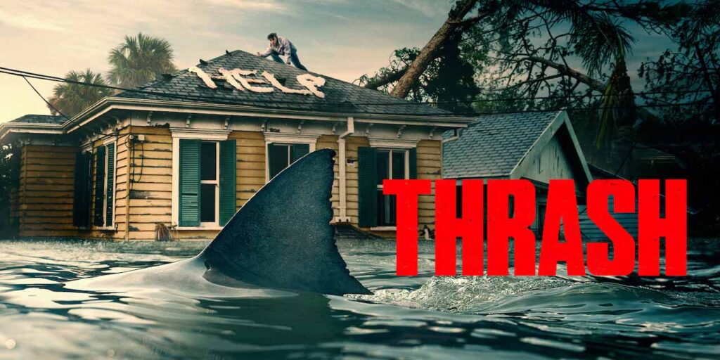 Yelzkizi Netflix’s New Shark Horror Movie Thrash Starring Bridgerton’s Phoebe Dynevor Is Surprisingly Watchable Despite Mixed Reviews