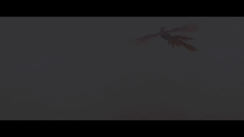 Yelzkizi The Studio Behind GreedFall Has Been Put Up for Sale: Why Nacon Is Selling Spiders and What Happens Next