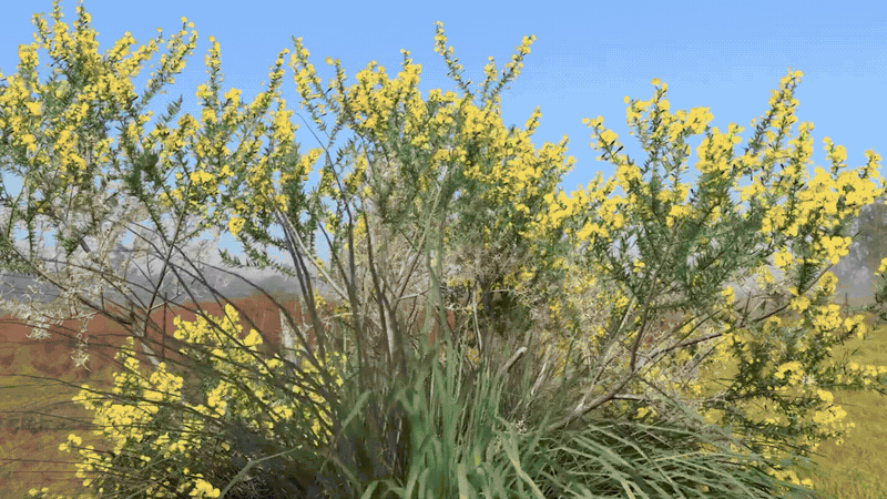 Yelzkizi Houdini Plant-Generation Toolkit Natsura Is Now in Early Access: Features, Pricing, and Workflow Benefits