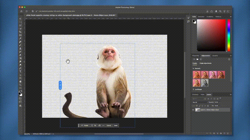 yelzkizi Adobe Releases Photoshop 27.6: New AI Tools, 3D Rotation Features, and Faster Editing Workflows Explained