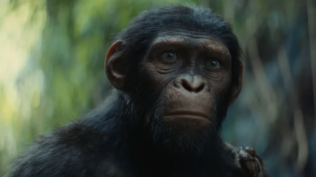 Yelzkizi planet of the apes reboot in the works from fantastic four director: everything we know about the new sci-fi film