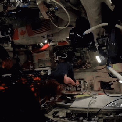Yelzkizi artemis ii crew watched project hail mary in quarantine before launch — astronaut jeremy hansen gives ryan gosling a thumbs up halfway to the moon